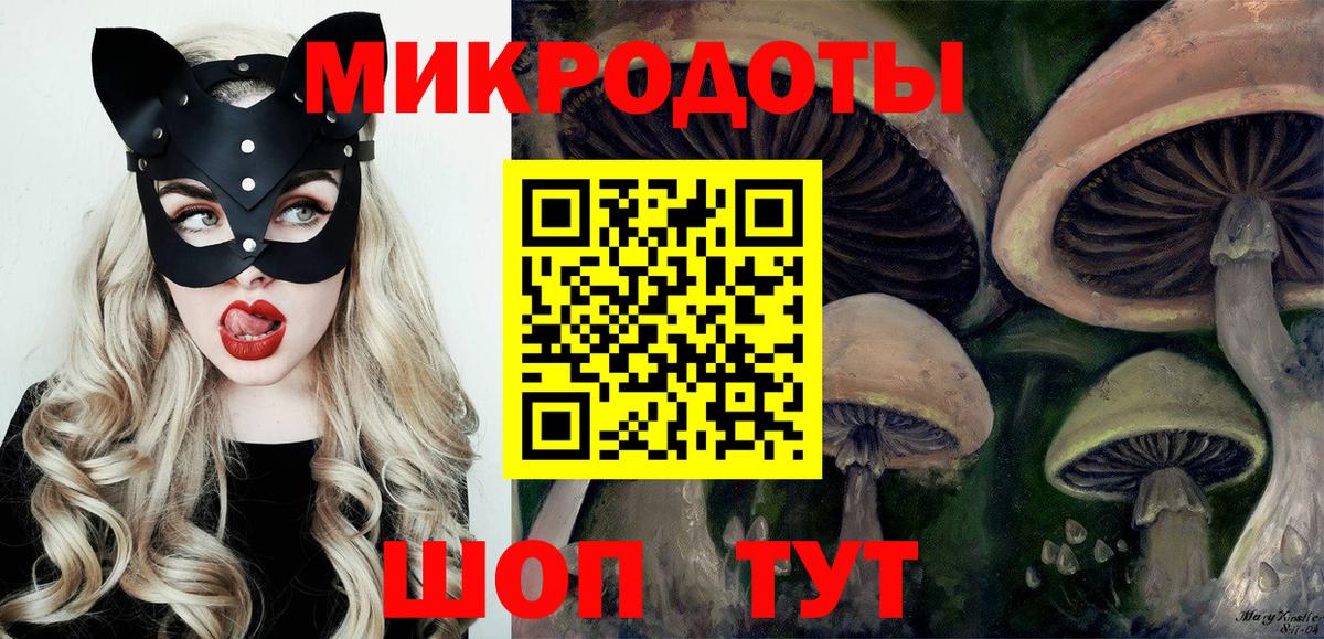 Кандалакша  Псилоцибиновые грибы MAGIC MUSHROOMS  Вход с VPN 